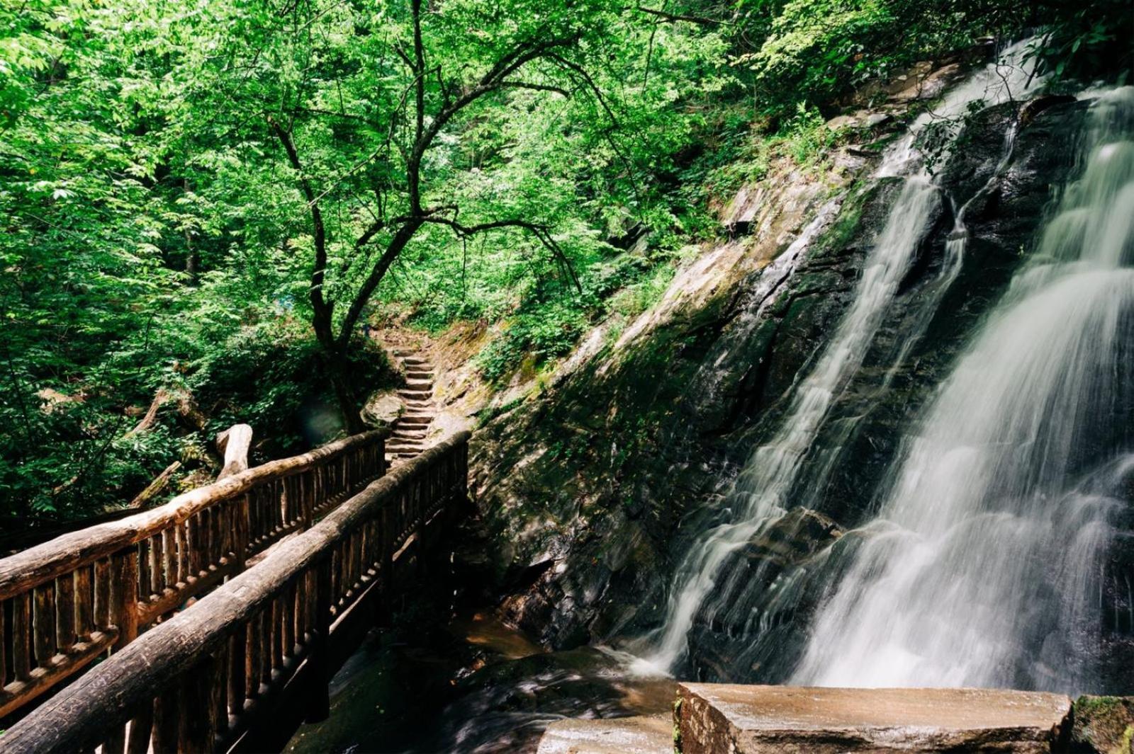 Hidden Star Hideaway-Blackberry Farm-Smoky Mtn Nat Park-Hot Tub- Fire Pit- Fenced Yard- Pet Friendly Walland Εξωτερικό φωτογραφία
